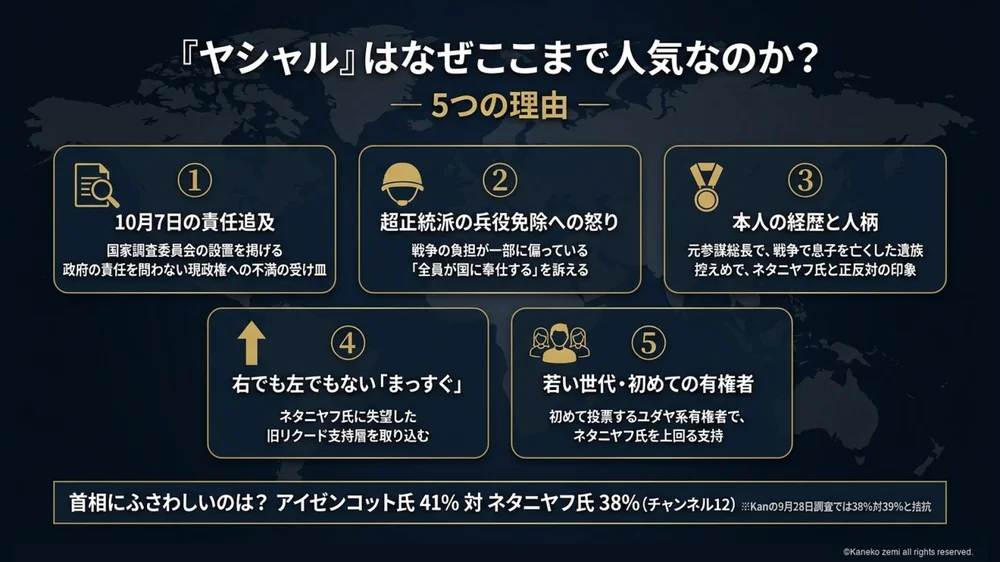 ヤシャルはなぜここまで人気なのか