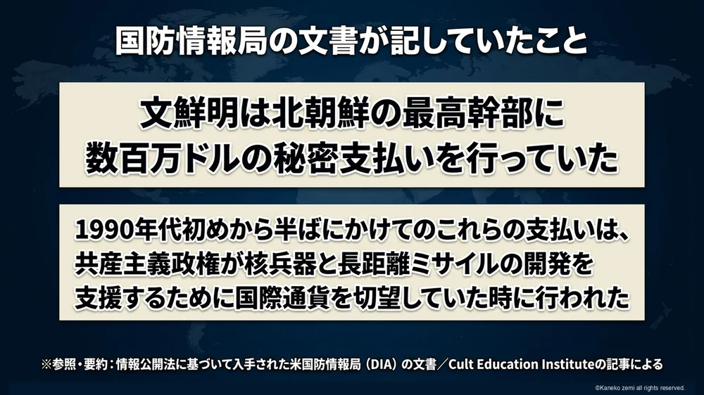 国防情報局の文書が記していたこと